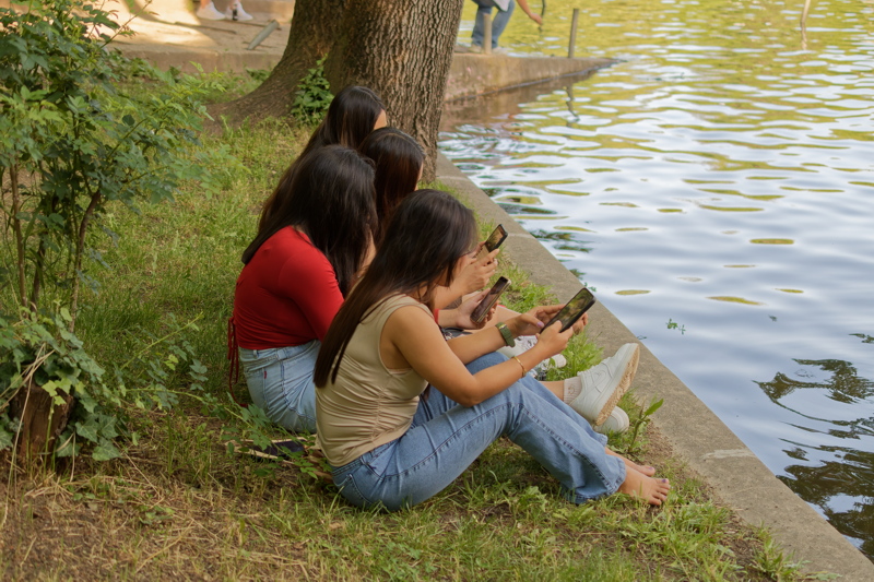 People enjoying a sunny day by the water's edge in a park